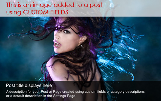 screenshot-1 Dynamic Content Gallery screenshot