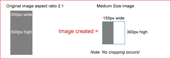 Medium Size image example 2