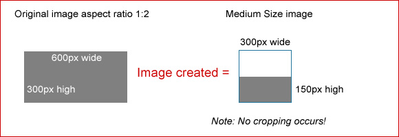 Medium Size image example 3