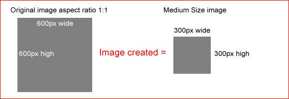 Medium size image example 1