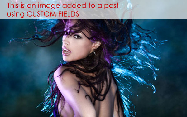 Genesis and the Dynamic Content Gallery